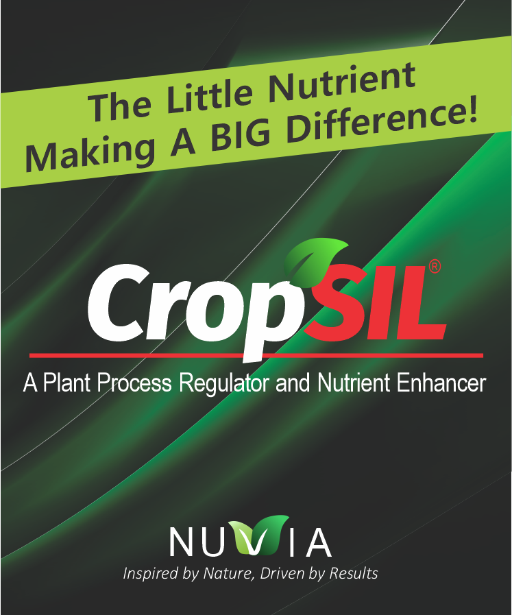 CropSIL® plant-available silicon bio-stimulant from NuVia Technologies, a plant nutrient enhancer for crop stress tolerance and increased crop yield.