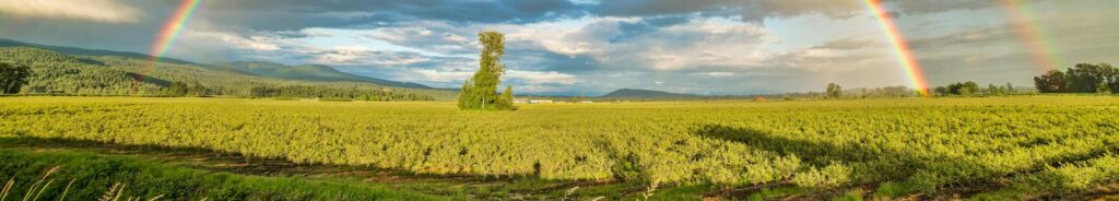 Sustainable Crop Solutions by Nuviatec – Higher Yields, Better Soil & Lower Costs