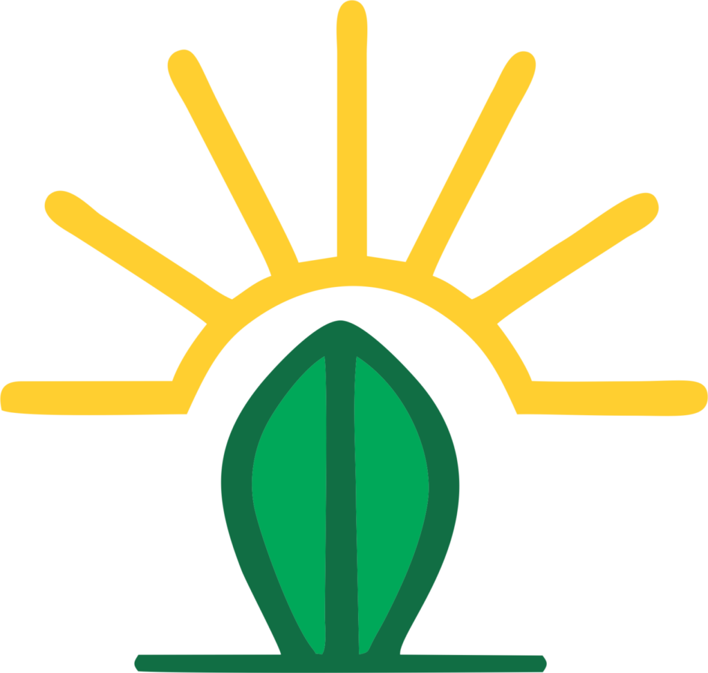 Cropsil Larger, more erect leaves capture more sunlight for increased chlorophyll production and photosynthesis.