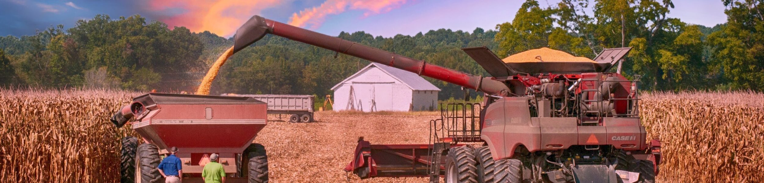 For best performance, farmers can combine all four solutions into one program. EDAGUM® SM improves soil. GENUS MC8 activates biology. ProVia AP21 boosts plant metabolism. CropSIL® maximizes yield performance. Together, they create a complete system: Better soil. Stronger roots. More efficient nutrient use. Higher crop .productivity.