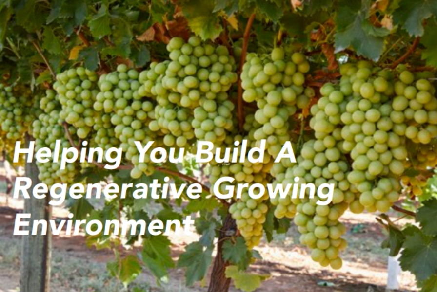 2014 CropSIL Rate Study on Thompson Seedless Grapes. Proven results: Natural and Biological inputs that improve Productivity, Profitability and Sustainability