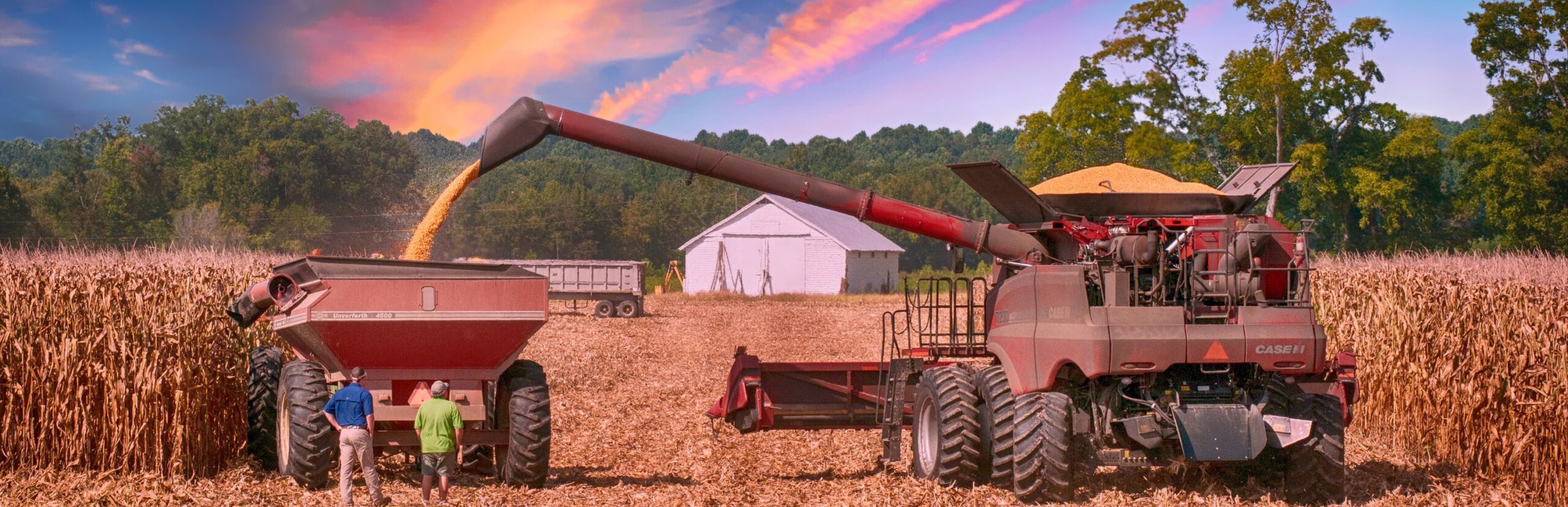 Increase crop yield For best performance, farmers can combine all four solutions into one program. EDAGUM® SM improves soil. GENUS MC8 activates biology. ProVia AP21 boosts plant metabolism. CropSIL® maximizes yield performance. Together, they create a complete system: Better soil. Stronger roots. More efficient nutrient use. Higher crop .productivity.