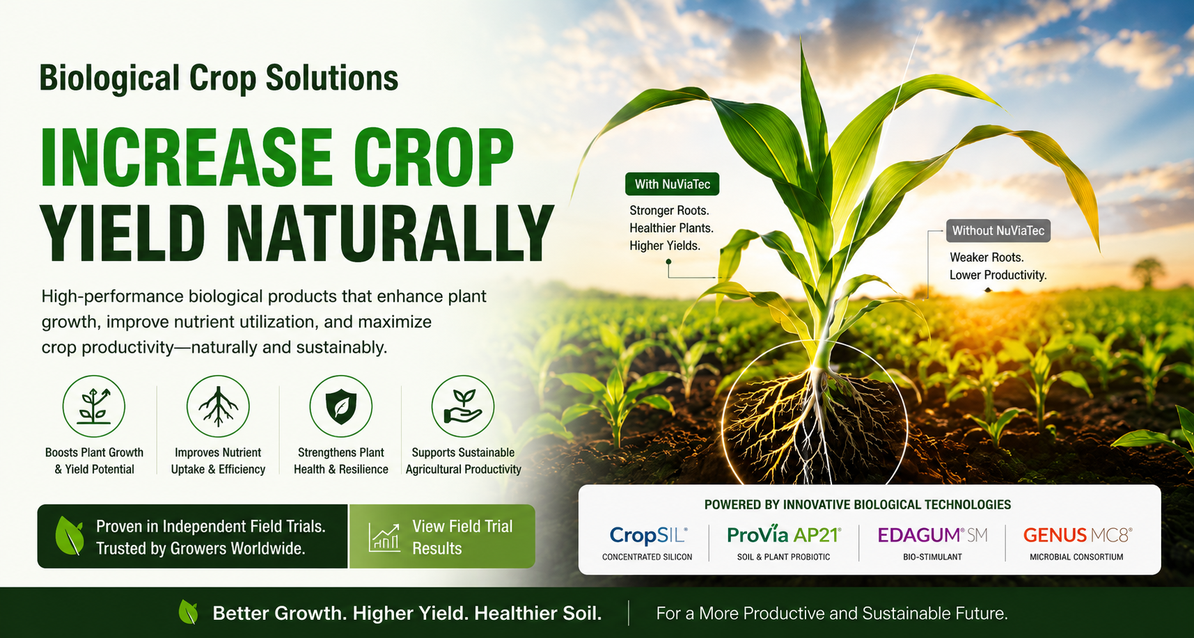 Increase crop yield naturally with Nuviatec biotechnologies CropSil Silicon Fertilizer for Plant Stress Resistance and Crop Resilience.