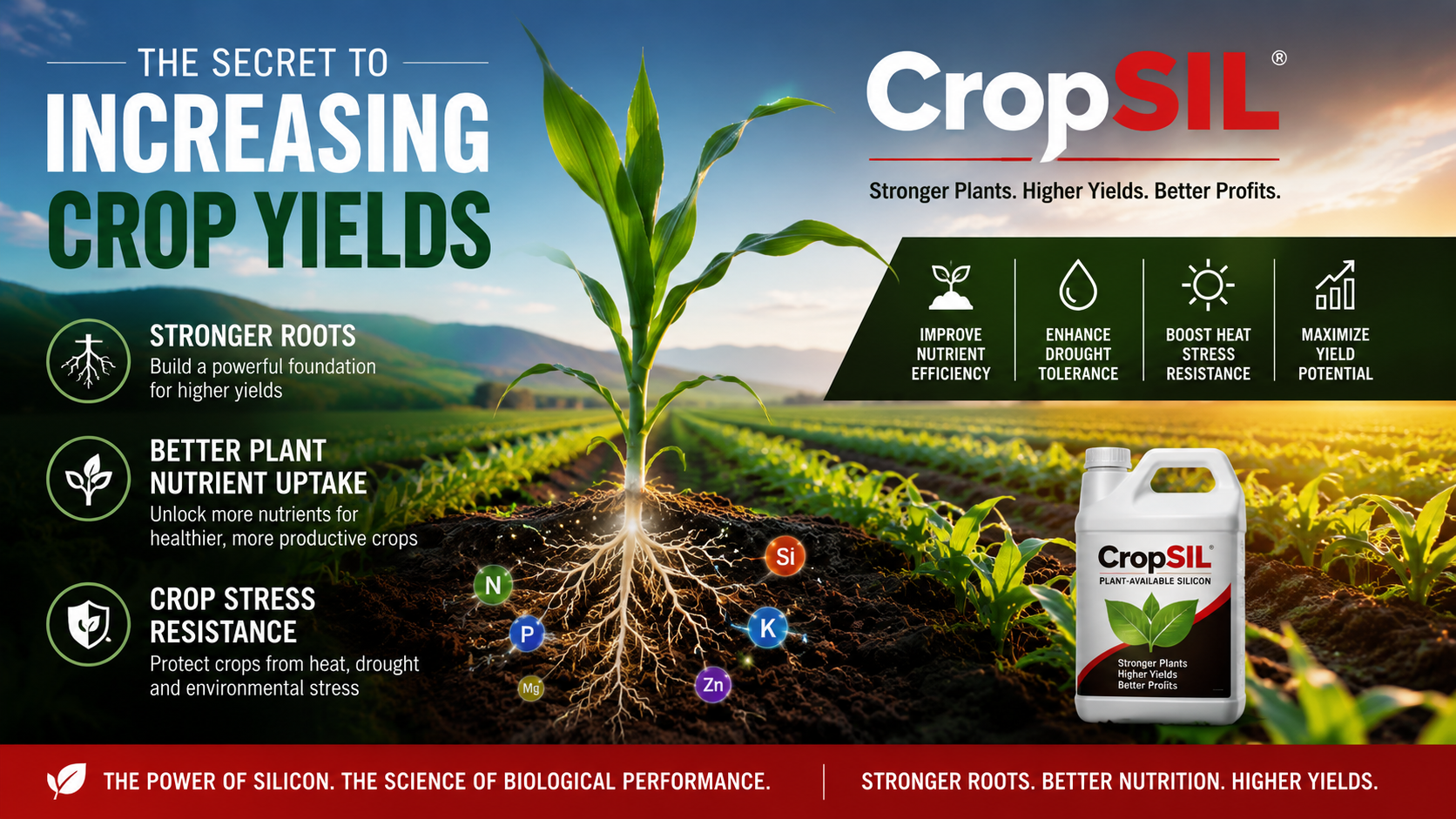 Increasing Crop Yields-Better Nutrient Uptake and Stress Resistance with CropSIL.